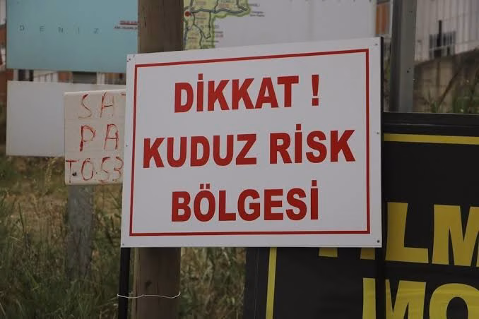 Kırıkhan’da Kuduz Vakası: Bölge Riskli Alan İlan Edildi