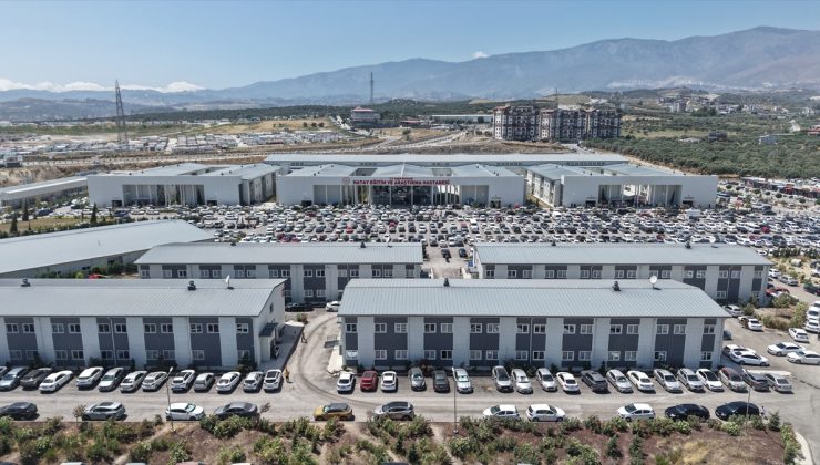 Hatay’da 13 Bin 720 Kalp Operasyonu: İl Dışı Sevklere Fren